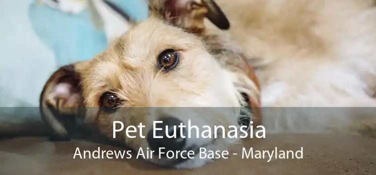 Pet Euthanasia Andrews Air Force Base - Maryland