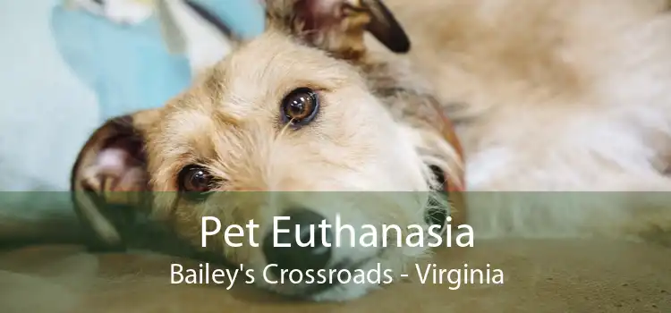 Pet Euthanasia Bailey's Crossroads - Virginia