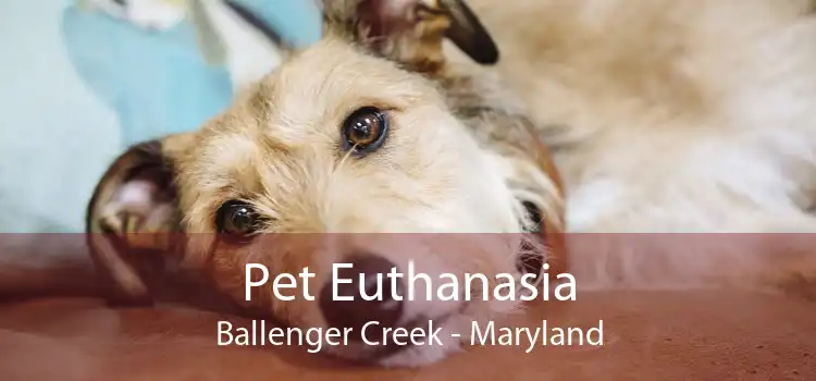 Pet Euthanasia Ballenger Creek - Maryland
