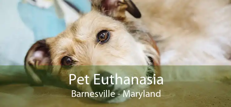Pet Euthanasia Barnesville - Maryland