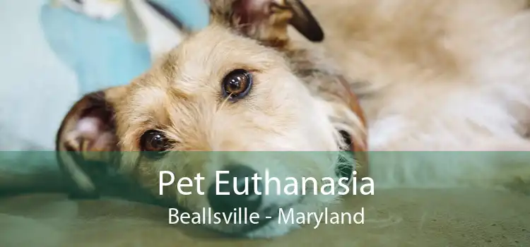 Pet Euthanasia Beallsville - Maryland