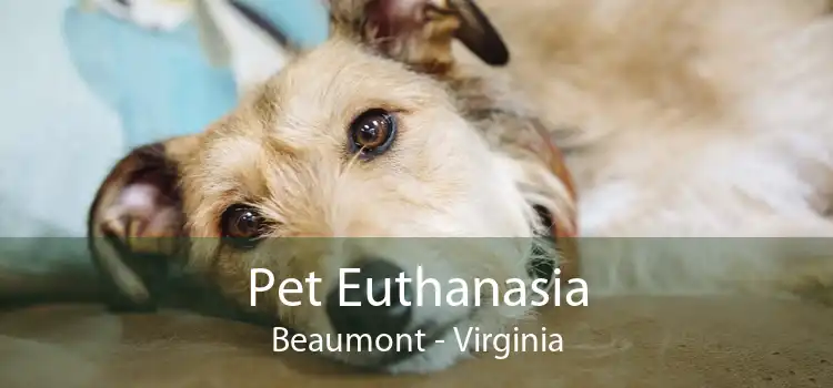 Pet Euthanasia Beaumont - Virginia