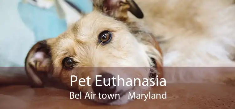 Pet Euthanasia Bel Air town - Maryland