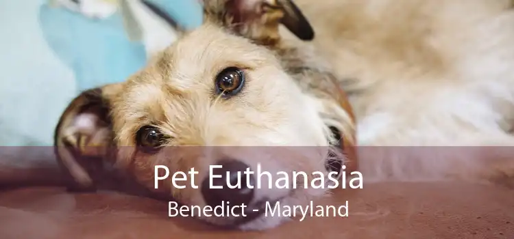 Pet Euthanasia Benedict - Maryland