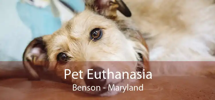 Pet Euthanasia Benson - Maryland