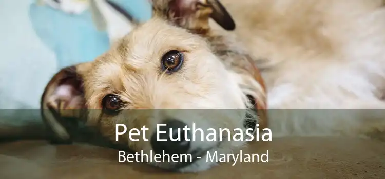 Pet Euthanasia Bethlehem - Maryland