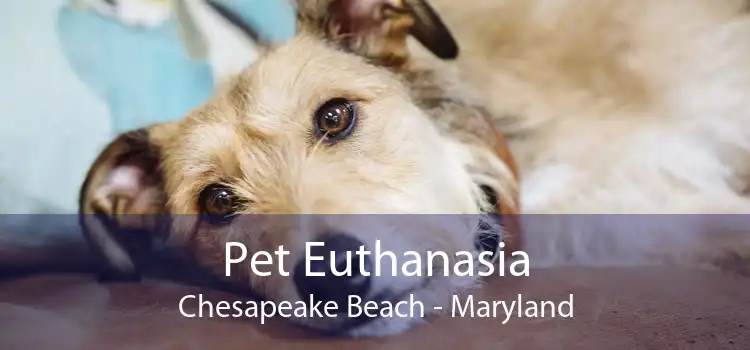 Pet Euthanasia Chesapeake Beach - Maryland