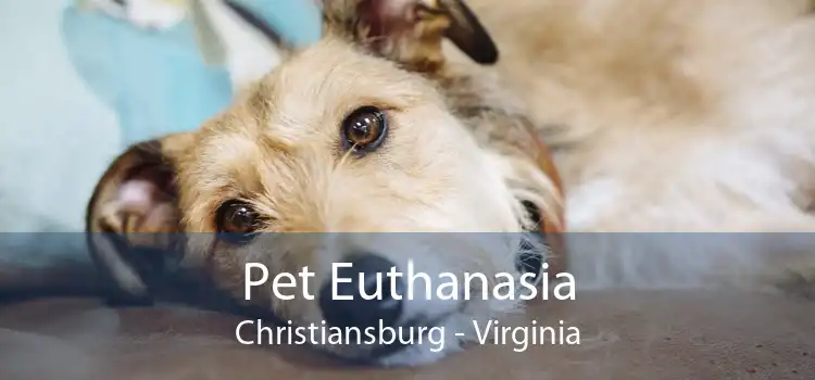 Pet Euthanasia Christiansburg - Virginia
