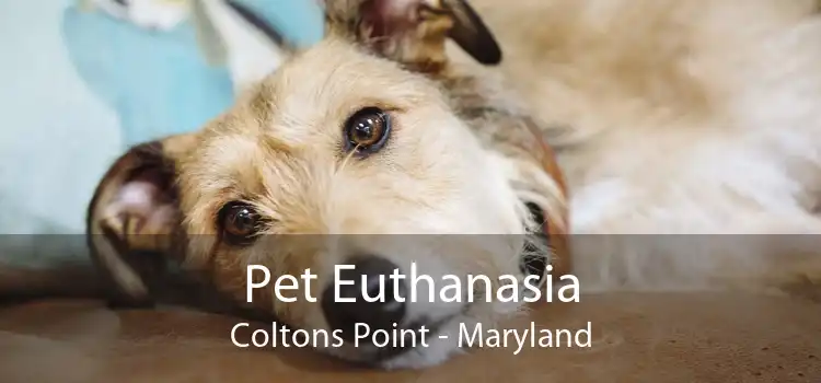 Pet Euthanasia Coltons Point - Maryland