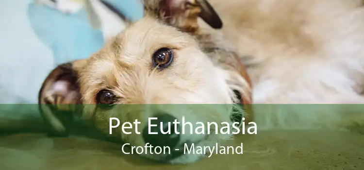 Pet Euthanasia Crofton - Maryland