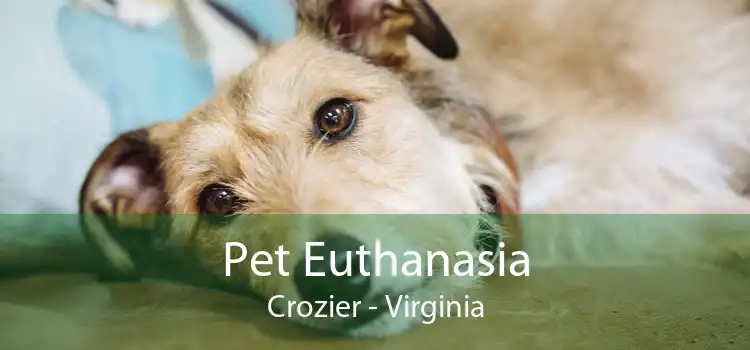 Pet Euthanasia Crozier - Virginia