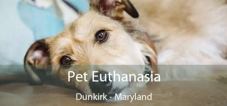 Pet Euthanasia Dunkirk - Maryland