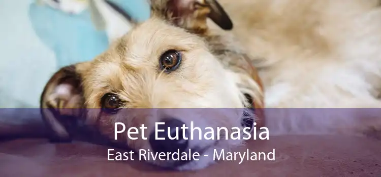Pet Euthanasia East Riverdale - Maryland