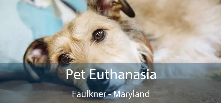 Pet Euthanasia Faulkner - Maryland