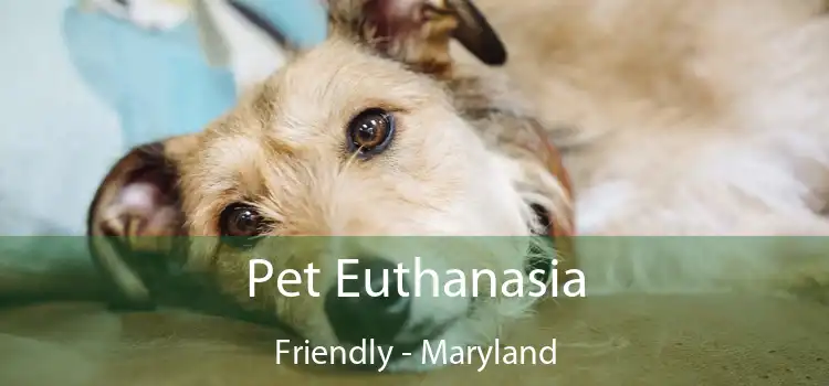 Pet Euthanasia Friendly - Maryland