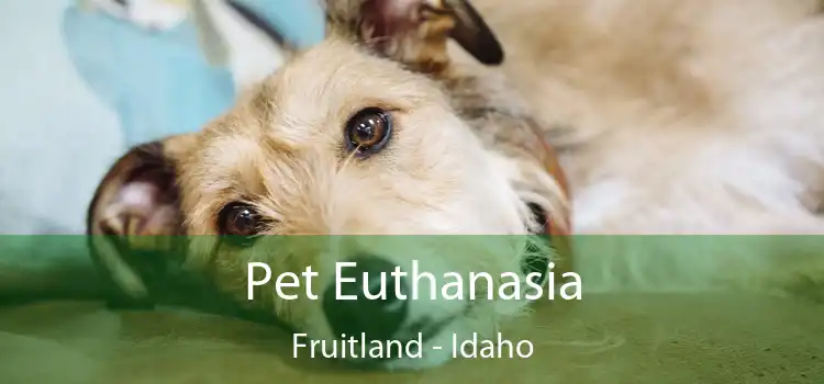Pet Euthanasia Fruitland - Idaho