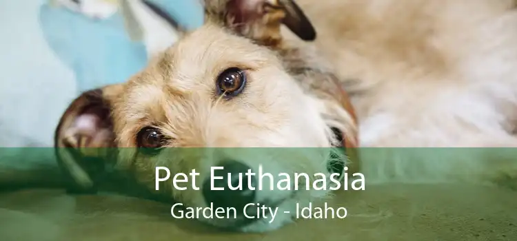 Pet Euthanasia Garden City - Idaho