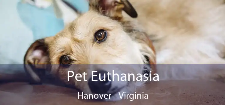 Pet Euthanasia Hanover - Virginia