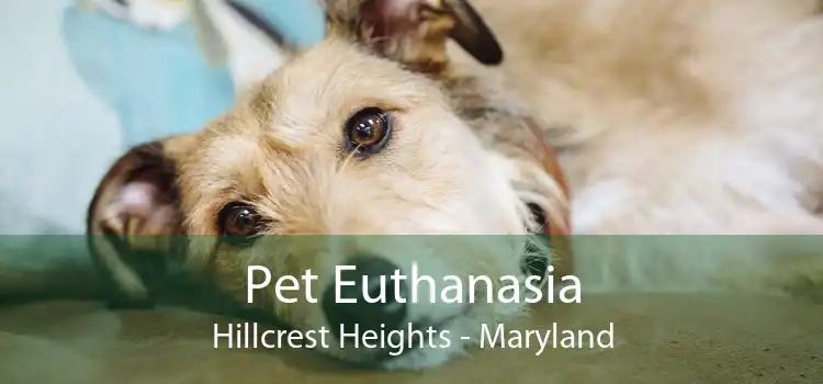Pet Euthanasia Hillcrest Heights - Maryland