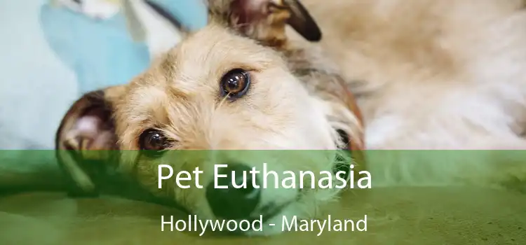 Pet Euthanasia Hollywood - Maryland