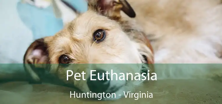 Pet Euthanasia Huntington - Virginia