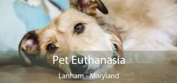 Pet Euthanasia Lanham - Maryland