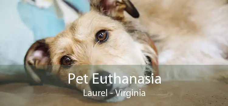 Pet Euthanasia Laurel - Virginia