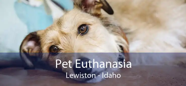 Pet Euthanasia Lewiston - Idaho
