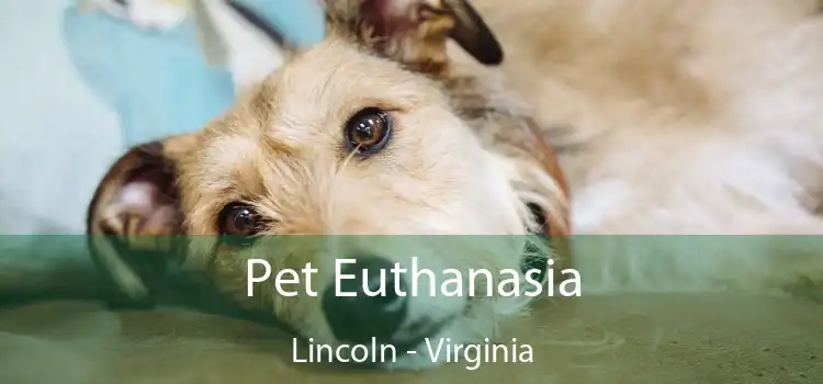 Pet Euthanasia Lincoln - Virginia