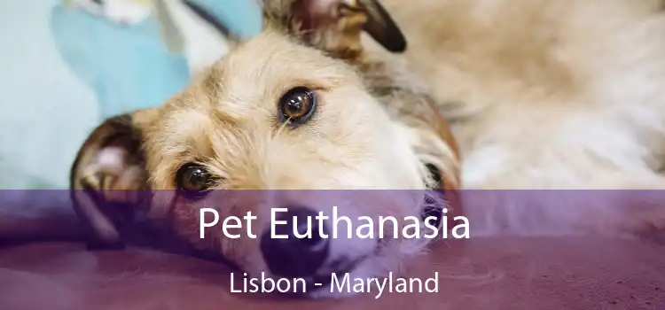 Pet Euthanasia Lisbon - Maryland