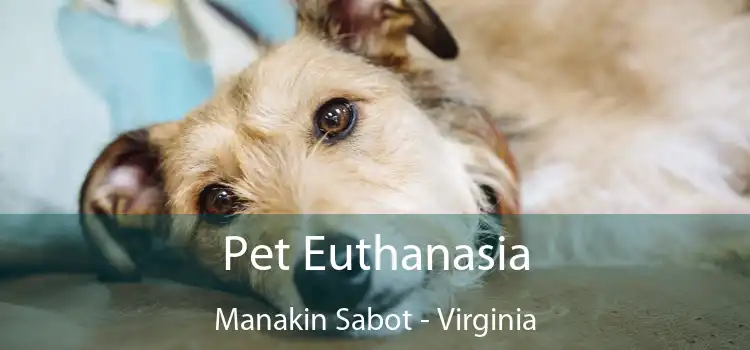 Pet Euthanasia Manakin Sabot - Virginia