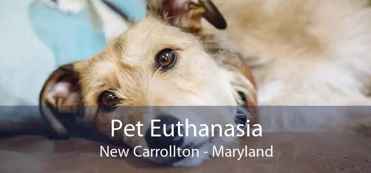 Pet Euthanasia New Carrollton - Maryland