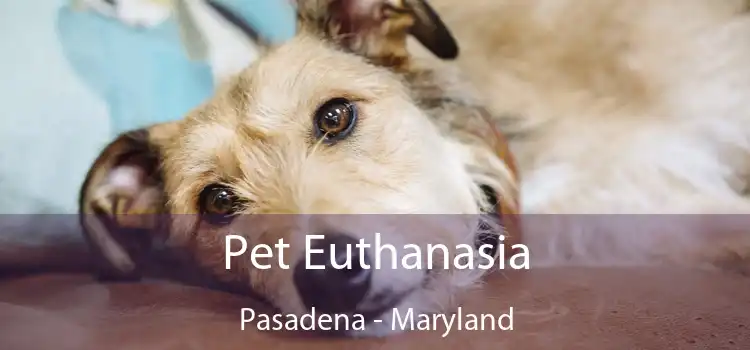Pet Euthanasia Pasadena - Maryland