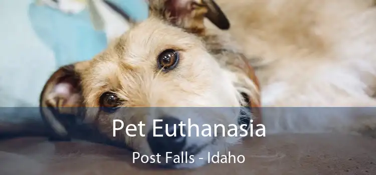 Pet Euthanasia Post Falls - Idaho