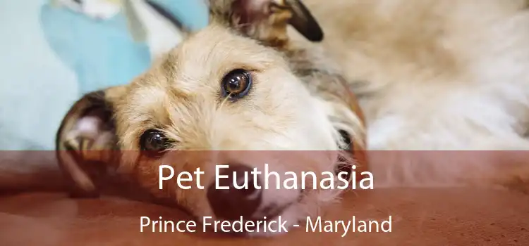 Pet Euthanasia Prince Frederick - Maryland