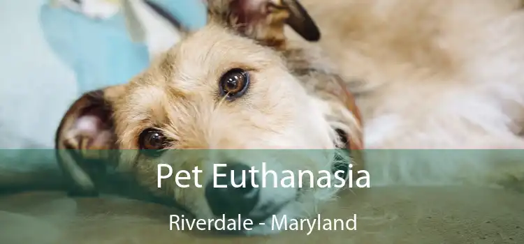 Pet Euthanasia Riverdale - Maryland