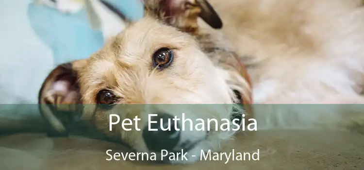 Pet Euthanasia Severna Park - Maryland