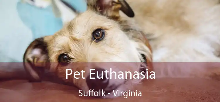 Pet Euthanasia Suffolk - Virginia