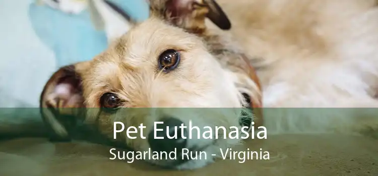 Pet Euthanasia Sugarland Run - Virginia