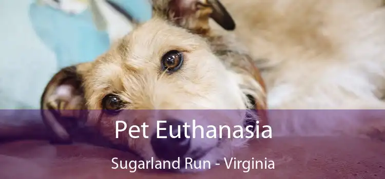 Pet Euthanasia Sugarland Run - Virginia