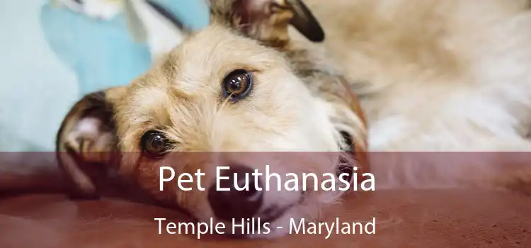 Pet Euthanasia Temple Hills - Maryland