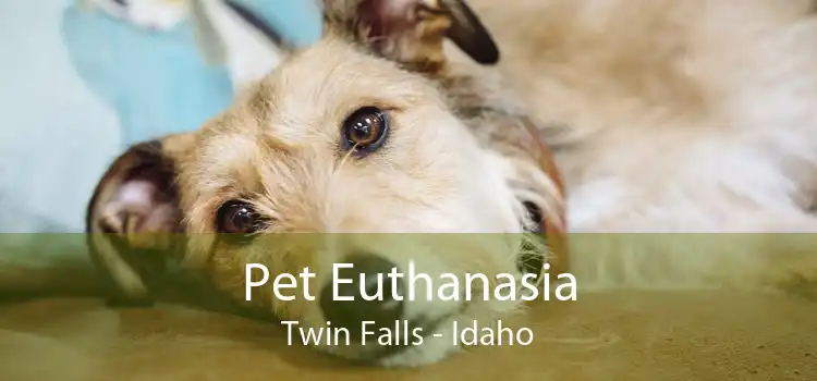 Pet Euthanasia Twin Falls - Idaho