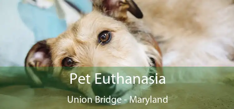 Pet Euthanasia Union Bridge - Maryland