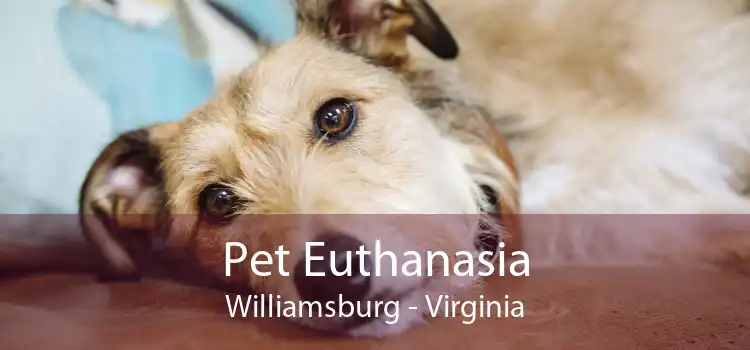 Pet Euthanasia Williamsburg - Virginia