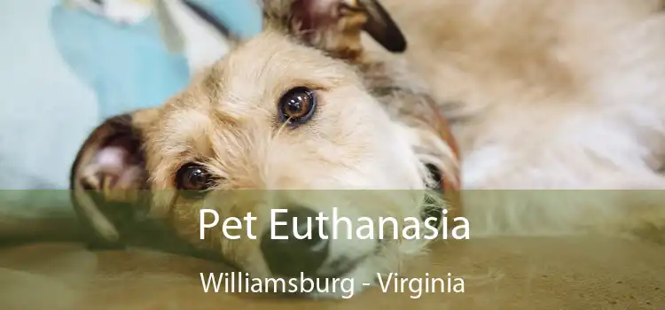 Pet Euthanasia Williamsburg - Virginia
