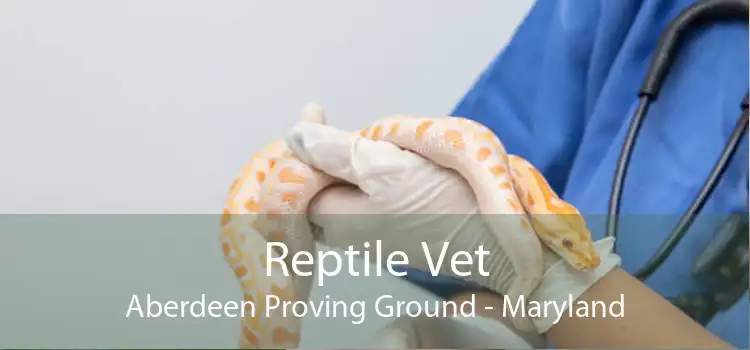 Reptile Vet Aberdeen Proving Ground - Maryland