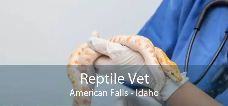 Reptile Vet American Falls - Idaho