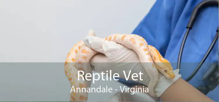 Reptile Vet Annandale - Virginia