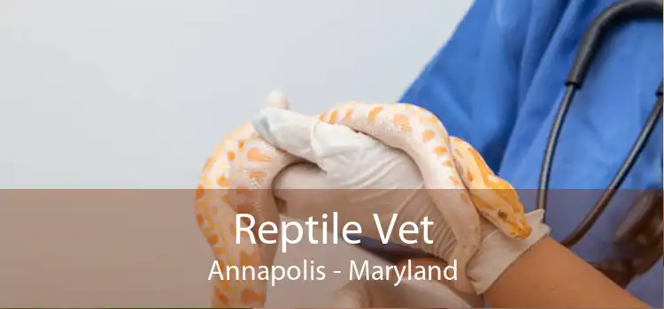 Reptile Vet Annapolis - Maryland