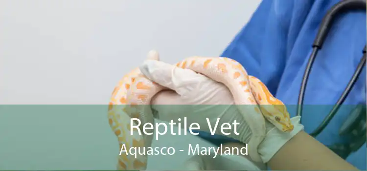 Reptile Vet Aquasco - Maryland